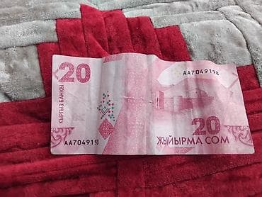 Банкнота 20 сомов Кыргызстана (жыйырма сом) - Номинал: 20 сом - — 1