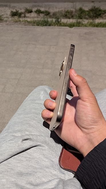 iphone 10 pro: IPhone 16 Pro Max, 256 ГБ, Matte Gold, Чехол, Коробка, 99 % — 3
