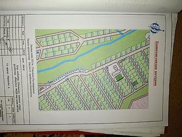 all group: 6 соток, Красная книга — 2