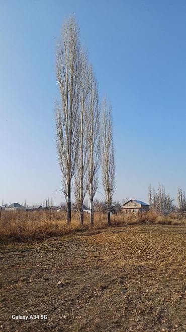 4 соток, Для строительства, Красная книга