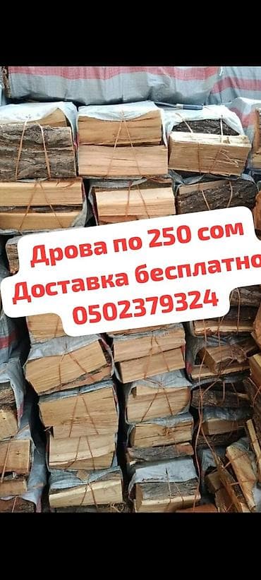 продам дрова недорого: Дрова — 4