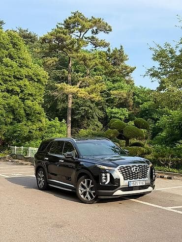 360: Hyundai Palisade: 2020 г., 2.2 л, Автомат, Дизель, Кроссовер — 2