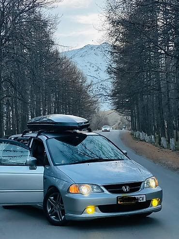 мухабойка на фит: Honda Odyssey: 2003 г., 3 л, Автомат, Бензин, Минивэн — 5