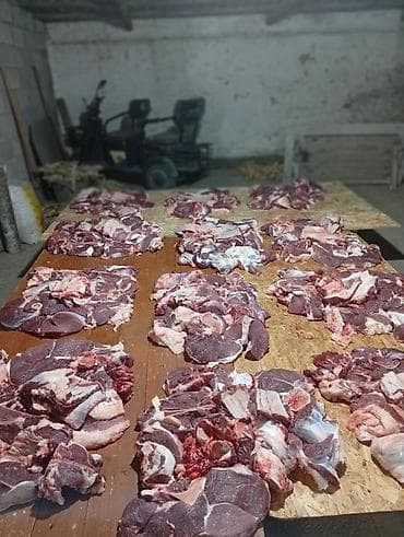 турецкий кухня: Услуги касапчей бригады: забой, разделка и приготовление мяса для — 2