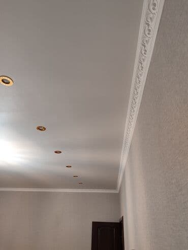 жаны тошоктор: 6 жылдан ашык тажрыйба — 7