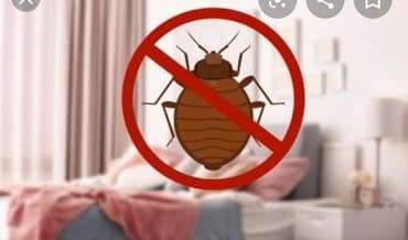 уничтожение клоп блох: Дезинфекция!!!любой сложности (*❛‿❛)→Приемлемая цена (*❛‿❛)→Качество — 7