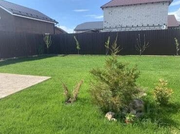 🟢 газон 🟢сеем газон 🟢 озеленение территории 🟢 посев газона 🟢