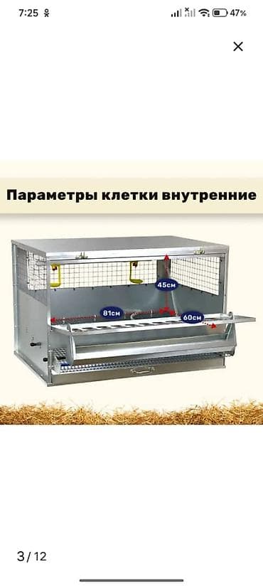 токмок кошка: Клетка для кур-несушек «Профессионал» (1 ярус, до 10 голов) — 4