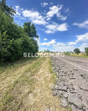 Кыймылсыз мүлк: 4 соток — 2