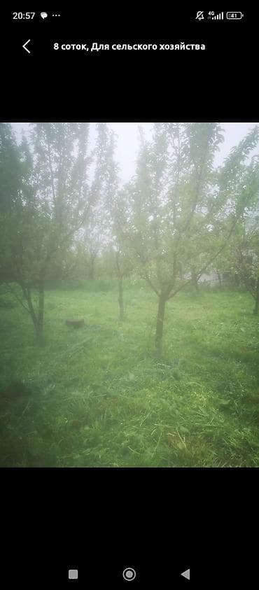 кантейнер 40 т: 5 соток, Айыл чарба үчүн — 1