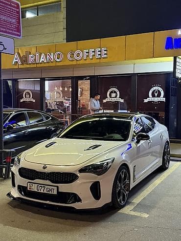 подсветки для машины: Kia Stinger: 2017 г., 3.3 л, Автомат, Бензин, Лифтбек — 6