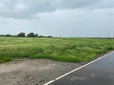 клубный дом: 72 соток — 3