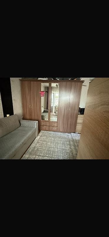 шефлера: Шифоньер, шкаф для одежды, Прямой, ЛДСП — 1