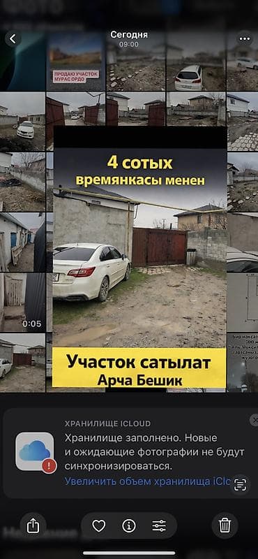 Жер тилкелери: 4 соток, Кызыл китеп — 1