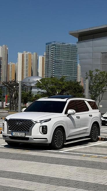 экран саната: Hyundai Palisade: 2020 г., 2.2 л, Автомат, Дизель, Кроссовер — 1