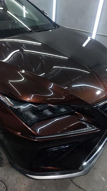 дезинфекция бишкек отзывы: Сокулук! качественная полировка индивидуальная под каждую машину!проф — 2