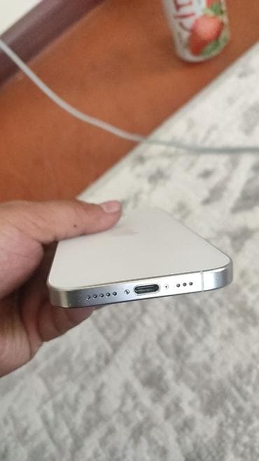 холодильные двери: IPhone 15 Pro Max, White Titanium — 2