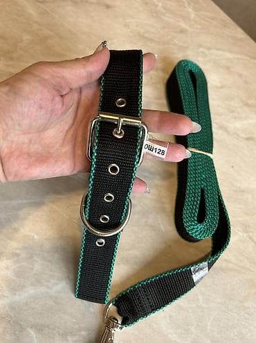 german shepherd: Комплект ошейник+поводок для крупных собак. Амуниция из нейлона — 2