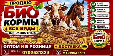 чоп беде сено: Био-корма для животных — все виды - Натуральные зерновые: ячмень — 1