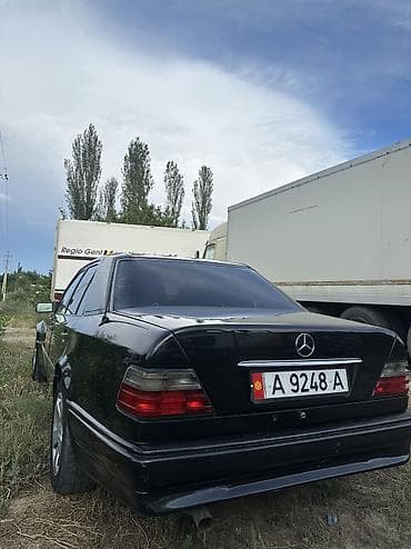 Mercedes-Benz W124: 1995 г., 2.2 л, Автомат, Газ, Седан — 4