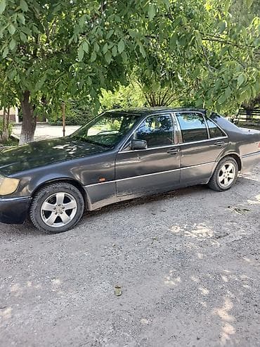 портэр 2: Mercedes-Benz S-Class: 1992 г., 3.2 л, Автомат, Газ, Седан — 8