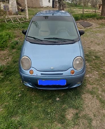 Продаю | Овца (самка) | Для разведения | Матка