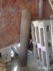 камаз кузув: Двер 2.000 чулок гип 10.000 балка (ос)на прицеп итд бооз эчкилер — 6