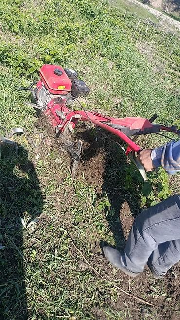 купить мешки для картофеля: Геракл месный — 4