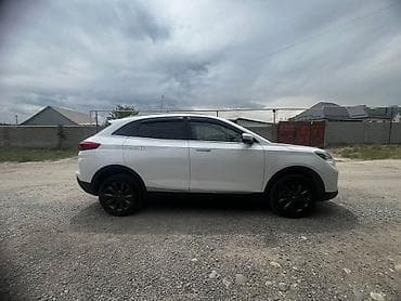 yuan plus byd: Weltmeister 2020 г. — 1
