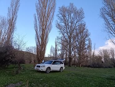 Продажа авто: Subaru Forester: 2005 г., 2 л, Автомат, Бензин, Универсал — 4