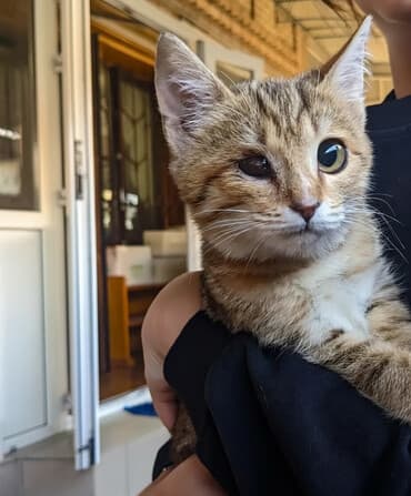 3 месяца, Девочка