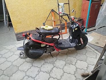space runer: Скутер Honda Zoomer/Ruckus (50 см³водянное охлаждение только после — 3