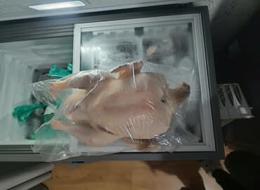 продам семена подсолнечника: Индюк :, 10 кг, Платная доставка — 1