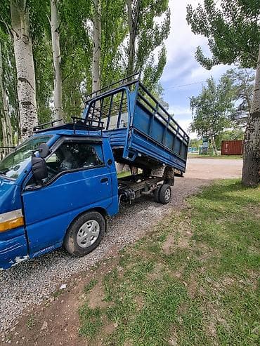 Жеңил жүк ташуучу унаа, Hyundai, Стандарт — 3
