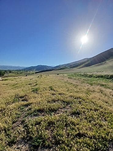 Кыймылсыз мүлк: 20 соток, Курулуш, Кызыл китеп — 3