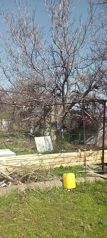 Продаю орех