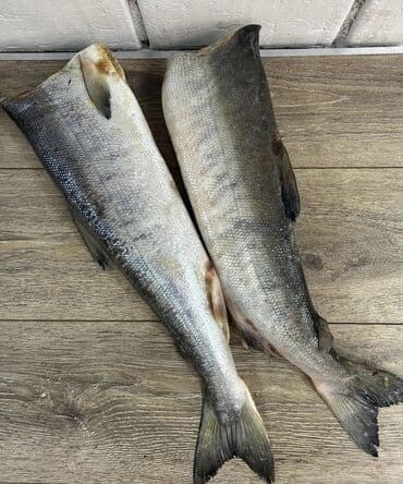 фарель живой: Замороженный, Более 10 кг, Самовывоз — 9