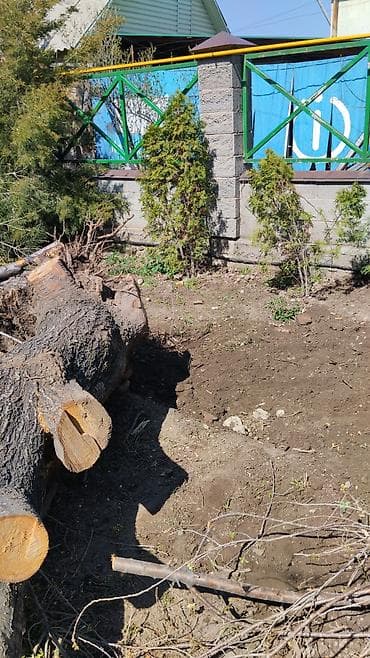 прикорневой объем: Бактардын тамырларын казып алып салуу услуги по корчеванию пней и — 9