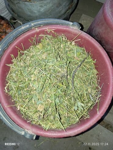 шины бу бишкек оптом: Чөп, жашылча жемиш майдалачуу, колго жасалган агрегат сатам. Пресс — 4