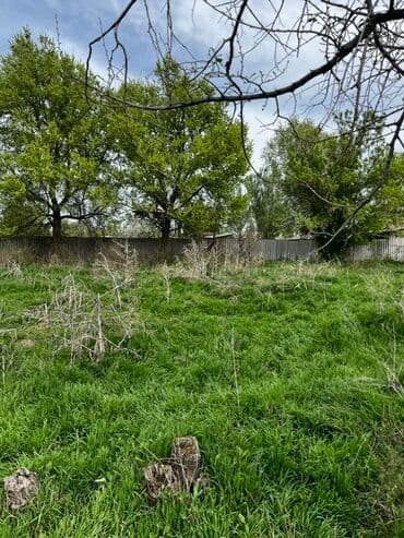 дом продаю сельского хозяйство: Дача, 50 кв. м, 3 бөлмө — 16