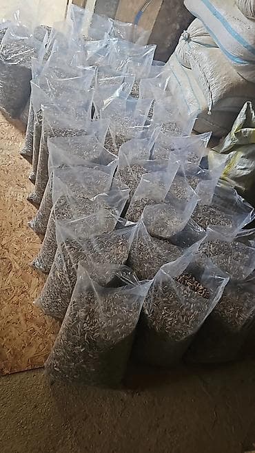 кормушки для птиц: Подсолнечные семечки в фасовке семичка - Вид продукта: подсолнечные — 4