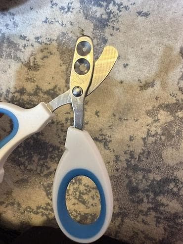 Килем жуучу аппараттар: Шаймандар топтому, Orient, Deli, Force, Жаңы, Өзү алып кетүү — 2