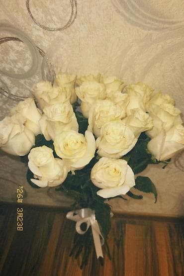 жилет военный: Голландские розы,длина 1 метр,21 штук - Классические белые розы с — 1