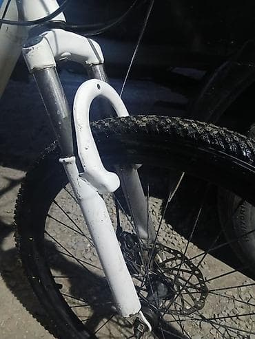 format velosiped: Горный велосипед, Рама M (156 - 178 см), Сталь — 3