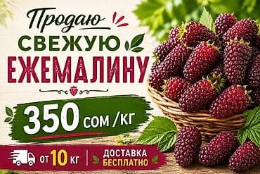 ягод: Ежемалина свежая, ароматная, крупная ягода (смесь вкусов ежевики и — 1