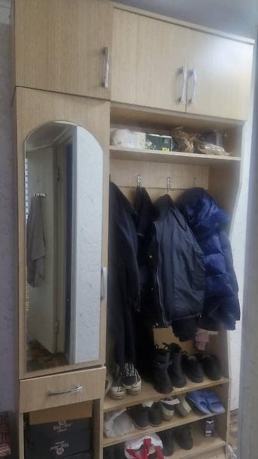 Шкаф-прихожая, Б/у, С зеркалом, ЛДСП