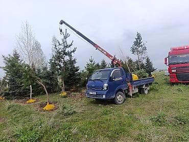 Стрела 20 м, 14 т, Борт 20000 кг