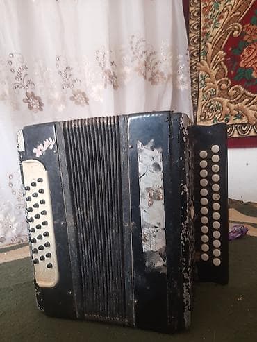 Баян кнопочный, классическая двухрядная модель с правой и левой