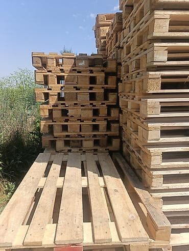 Оборудование для производства: Поддон Новый, В наличии — 5