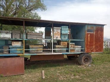 продажа домашних животных: Продаю пчелопавильон улики рассчитан на 40 -50 корп семей сделан — 7